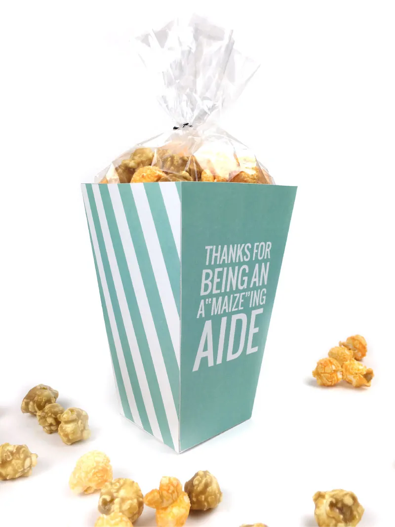 Teacher Appreciation Week Gift | Don't forget about the aides, bus drivers and therapists that help your kiddos out each and every day! Click through to download your free printable popcorn boxes for all those special helpers! 