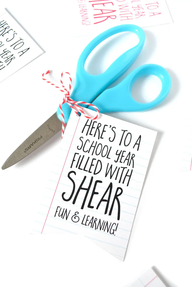 Show your new teacher a little love with this super easy, cheap and cute DIY teachers gift for back to school. And bonus: it comes with a free printable tag! 