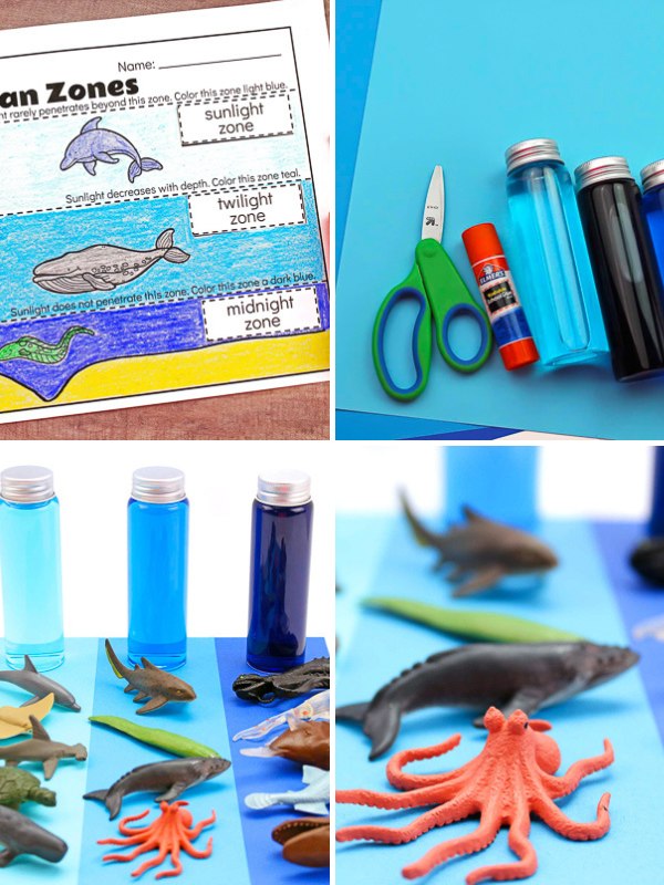 4 image collage of ocean zones learning activities for kids