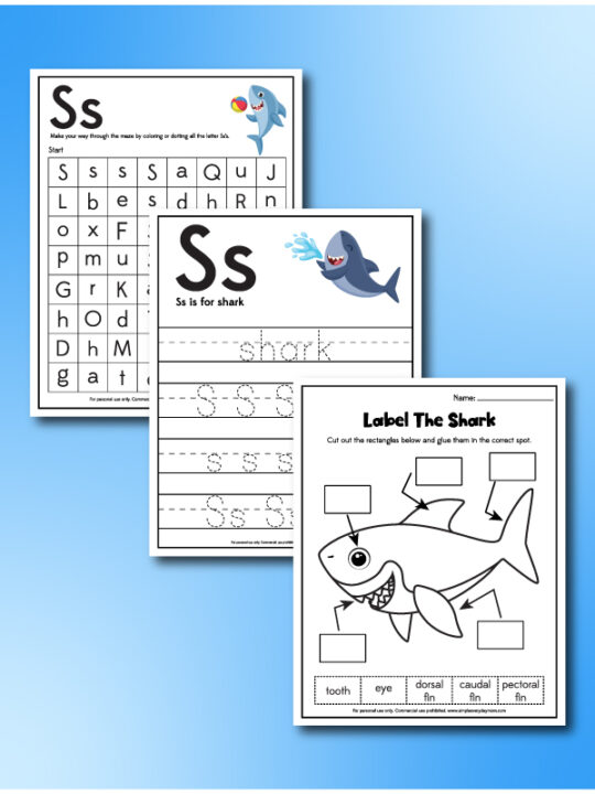 3 FREE Printable Shark Worksheets For Kids