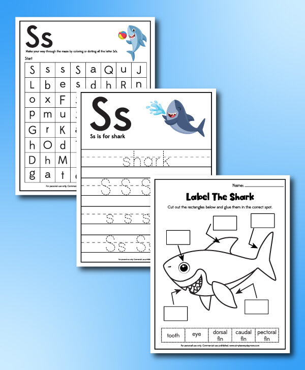 shark worksheets for kids