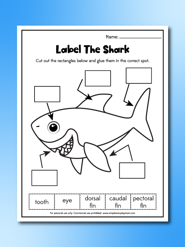 label a shark worksheet