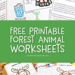free forest animal worksheets for kindergarten