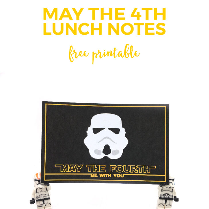 may the fourth be with you printable lunch notes