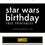 Throw an amazing, yet simple Star Wars themed birthday party for your son. It'll be a party he'll never forget.