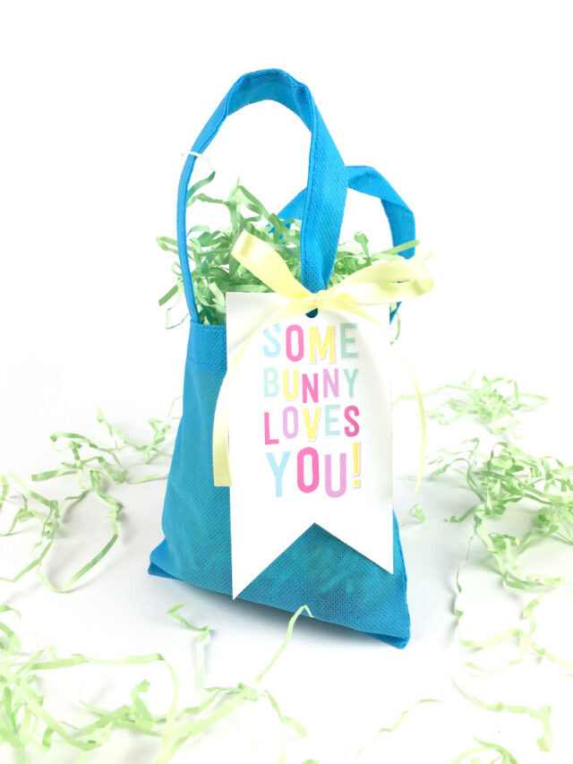 Somebunny Loves You Free Printable Easter Tag Story