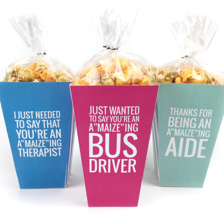 Bus driver appreciation free printable |This Teacher Appreciation week, don't forget about the aides, bus drivers and therapists that help your kiddos out each and every day! Click through to download your free printable popcorn boxes for all those special helpers!