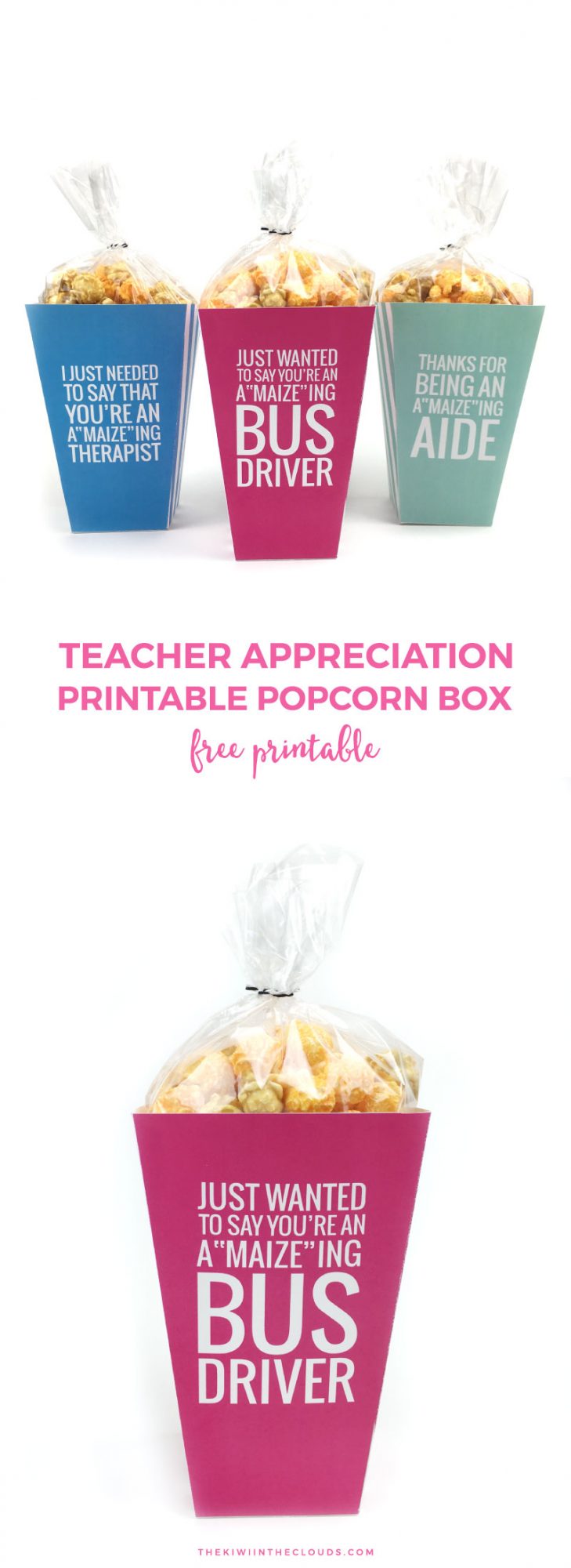 Bus Driver Appreciation FREE printable &amp; MORE!
