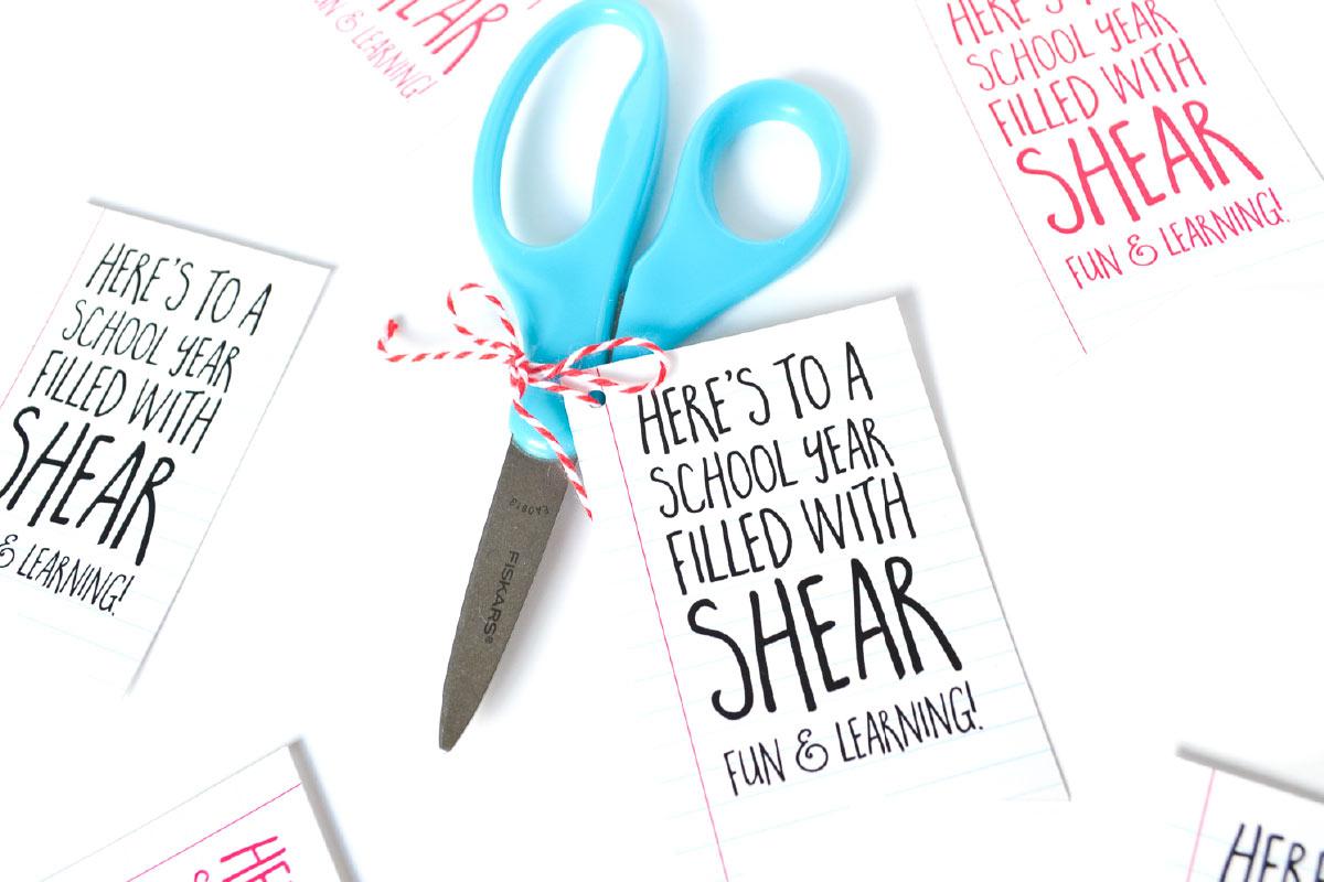 Show your new teacher a little love with this super easy, cheap and cute DIY teachers gift for back to school. And bonus: it comes with a free printable tag!