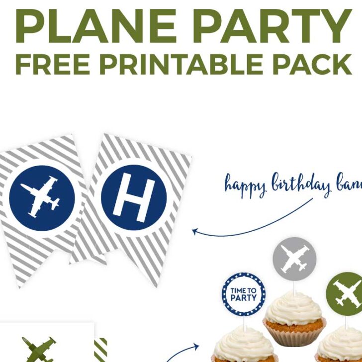 Put together that airplane birthday party that your little boy has always dreamed of in an instant with this 30 piece free printable party package. Click through to download now.