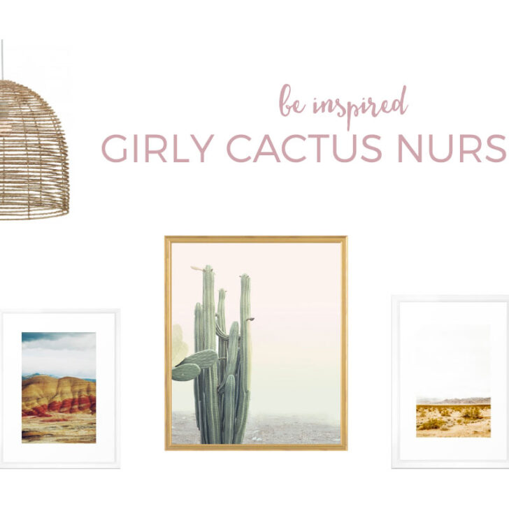 This cactus nursery for baby girls is right on trend. Click through to see the complete source list.