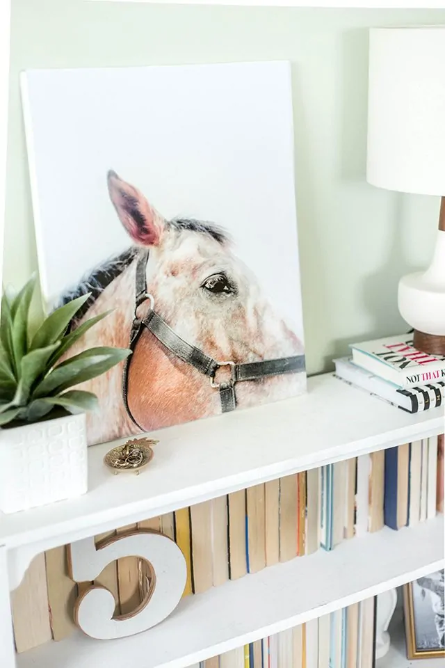horse art on bookshelf