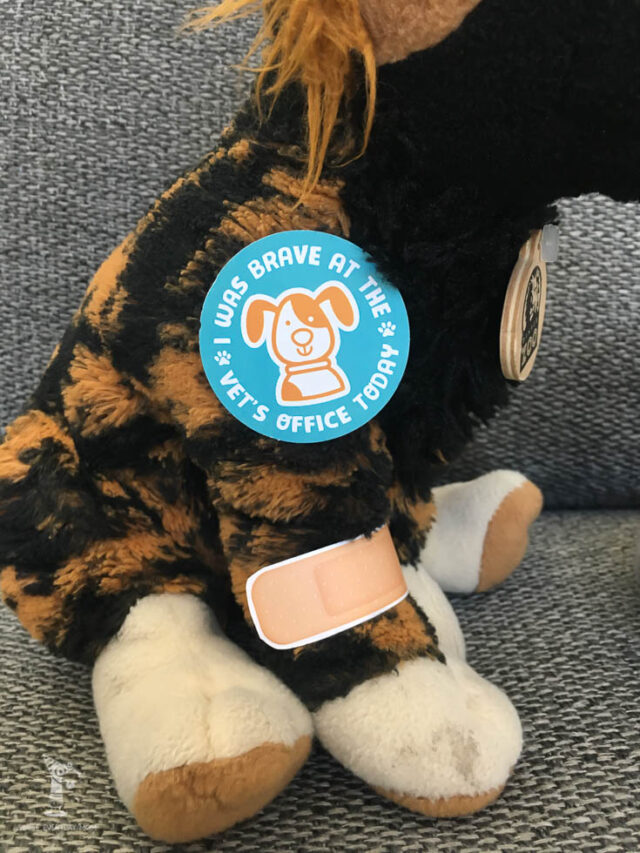 cropped-pretend-play-vet-clinic-image-8.jpg