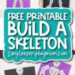 skeleton craft image collage with the words free printable build a skeleton in the middle