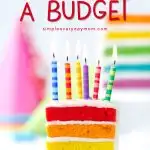 Throwing a kids birthday party doesn't have to mean spending a fortune! Learn all the insider secrets of how to throw a cheap birthday party for kids that everyone, including your wallet, will love! #birthdayparty #kidsparty #budget #savemoney #simpleeverydaymom #partyplanning #KidsParties