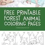 Free Printable Forest Animal Coloring Pages | These cute animal coloring sheets are perfect for young kids in preschool, prek and kindergarten and feature adorable animals like a fox, deer, skunk, raccoon, squirrel, bunny, bear and hedgehog. #kidsactivities #kidsandparenting #coloringpages #art #craftsforkids #kidscrafts #children #earlychildhood