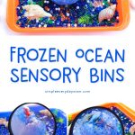 Ocean Sensory Tub | Preschool, Kindergarten and elementary aged kids will love this frozen ocean sensory activity. It's a great hands on idea that'll encourage fine motor skills, problem solving and curiosity! #sensorytub #waterbeads #sensoryboxes #smallworldplay #playbasedlearning