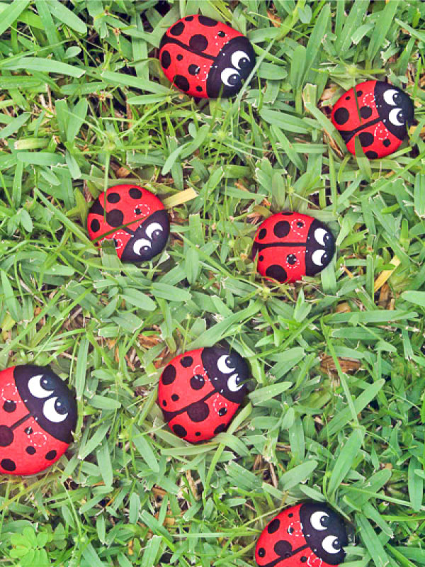 ladybug painted rocks in grass