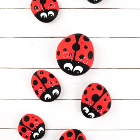 ladybug rocks on white wood background