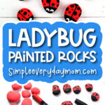 ladybug painted rock image collage with the words ladybug painted rocks