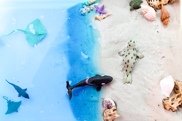 Ocean Sensory Table | Let kids pretend they're at the beach with this fun beach small world setup. It has sand, water, animals and shells! Perfect for sensory play. #sensoryplay #activitiesforkids #earlychildhood #kidsactivities 