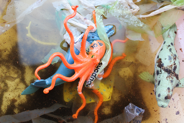 Ocean Unit Activities | Use this hands on pollution sensory bin to show kids how devastating pollution can be on the sea and it's animals. #kidsactivities #teacher #educationalactivities