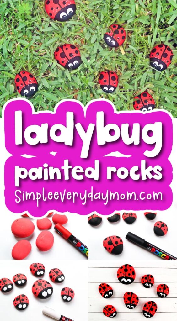 ladybug painted rock image collage with the words ladybug painted rocks