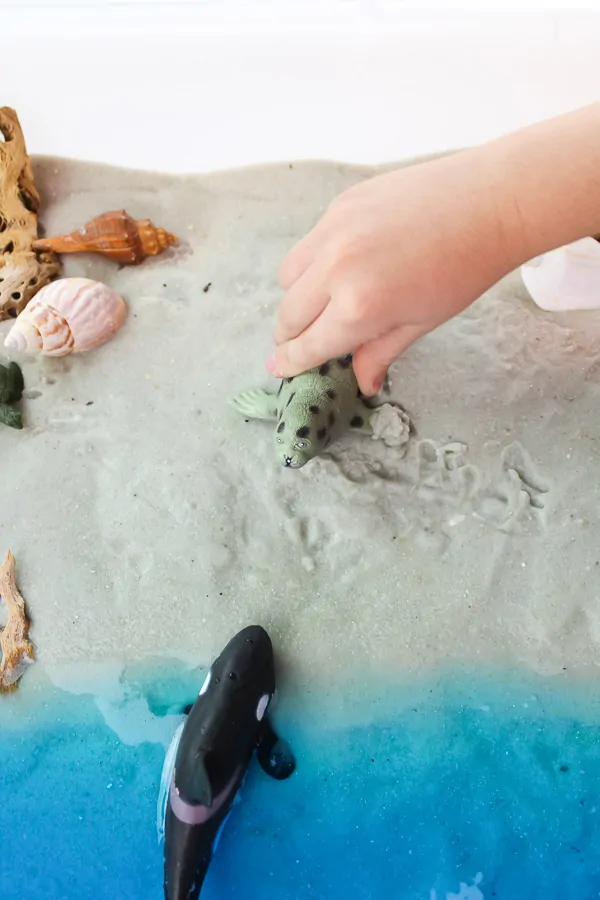 Beach Play Sensory Bin | Preschool and kindergarten kids will have so much fun learning about the ocean ecosystem and ocean animals when they play with this outdoor beach sensory bin. #kidsactivities #preschool #teacher #educationalactivities #ocean
