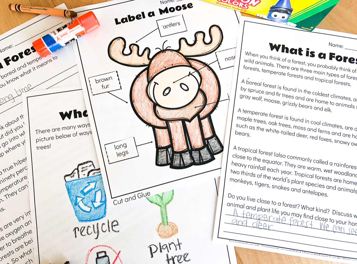 Free Printable Forest Animal Worksheets For Kids