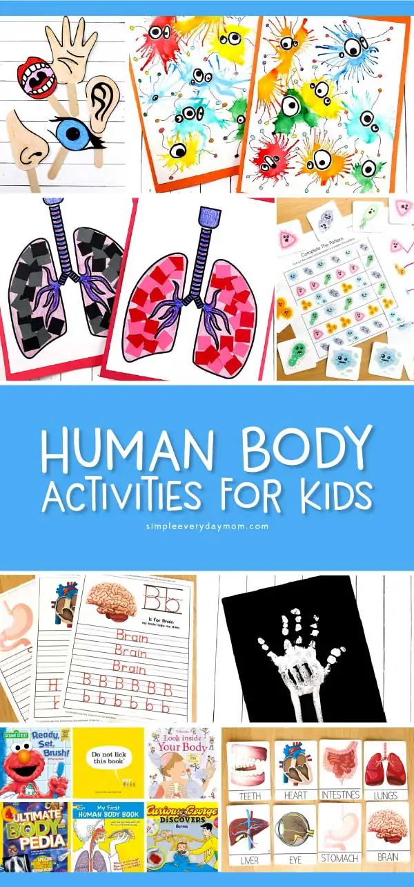 Human Body Activities For Kids | Teaching kids all about their body has never been so interesting and fun! This roundup includes free printables, crafts, art projects and more for preschool and kindergarten. #preschool #kindergarten #earlychildhood #kindergartenworksheets #craftsforkids #kidscrafts #kidsandparenting #teachingkindergarten #prekteacher 