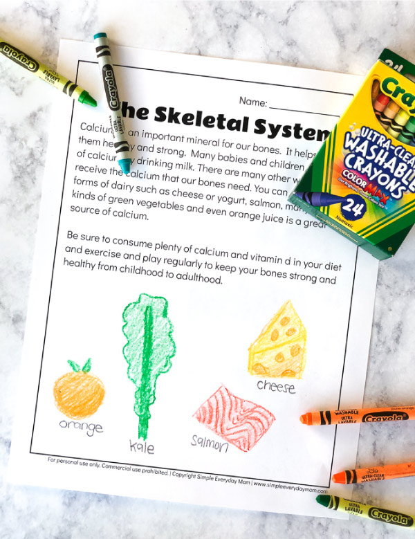 Human Body Activities For Kids | Learn about the skeletal system with these free printable worksheets. #worksheets #kids #kidsactivities #teacher 