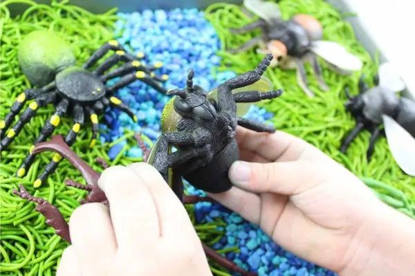 Bug Sensory Bin | Learn all about insects when you use this simple insect activity for kids. It's an easy DIY learning activity your kids will love!