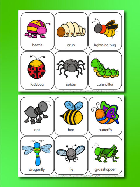 Printable Preschool Bug Activities For Kids