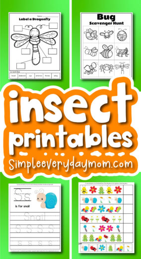 Printable Preschool Bug Activities For Kids