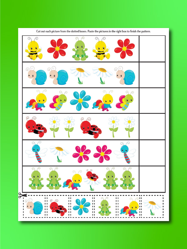 insect worksheet