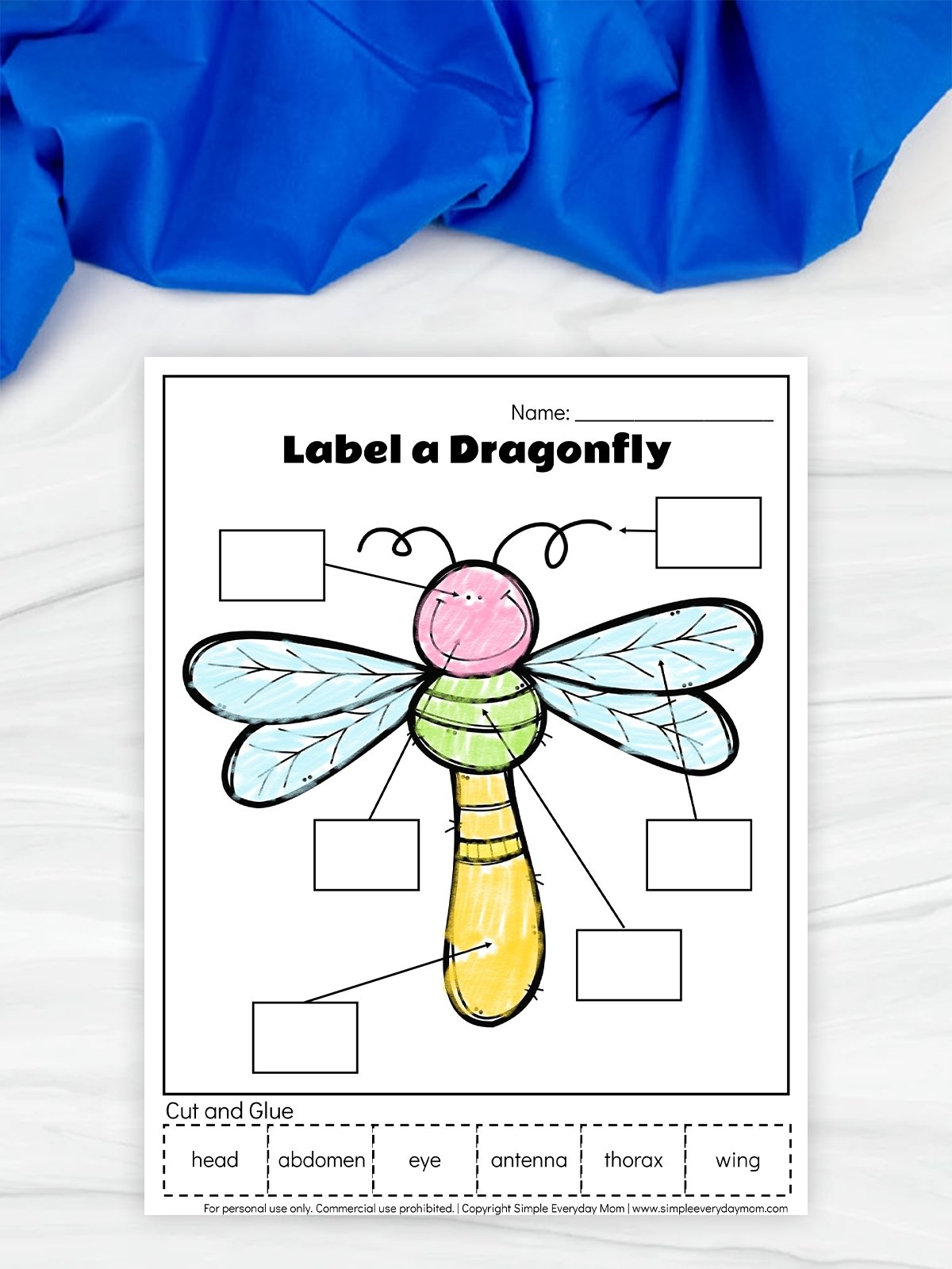 Worksheet titled “Label a Dragonfly” showing a cartoon dragonfly with blank boxes pointing to body parts. Cut-and-glue labels at the bottom include head, abdomen, eye, antenna, thorax, and wing.