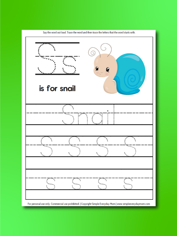 insect worksheet