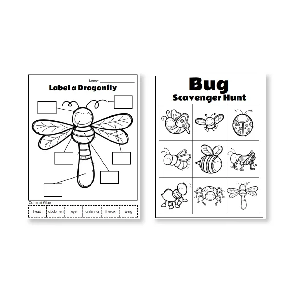 Printable Preschool Bug Activities For Kids