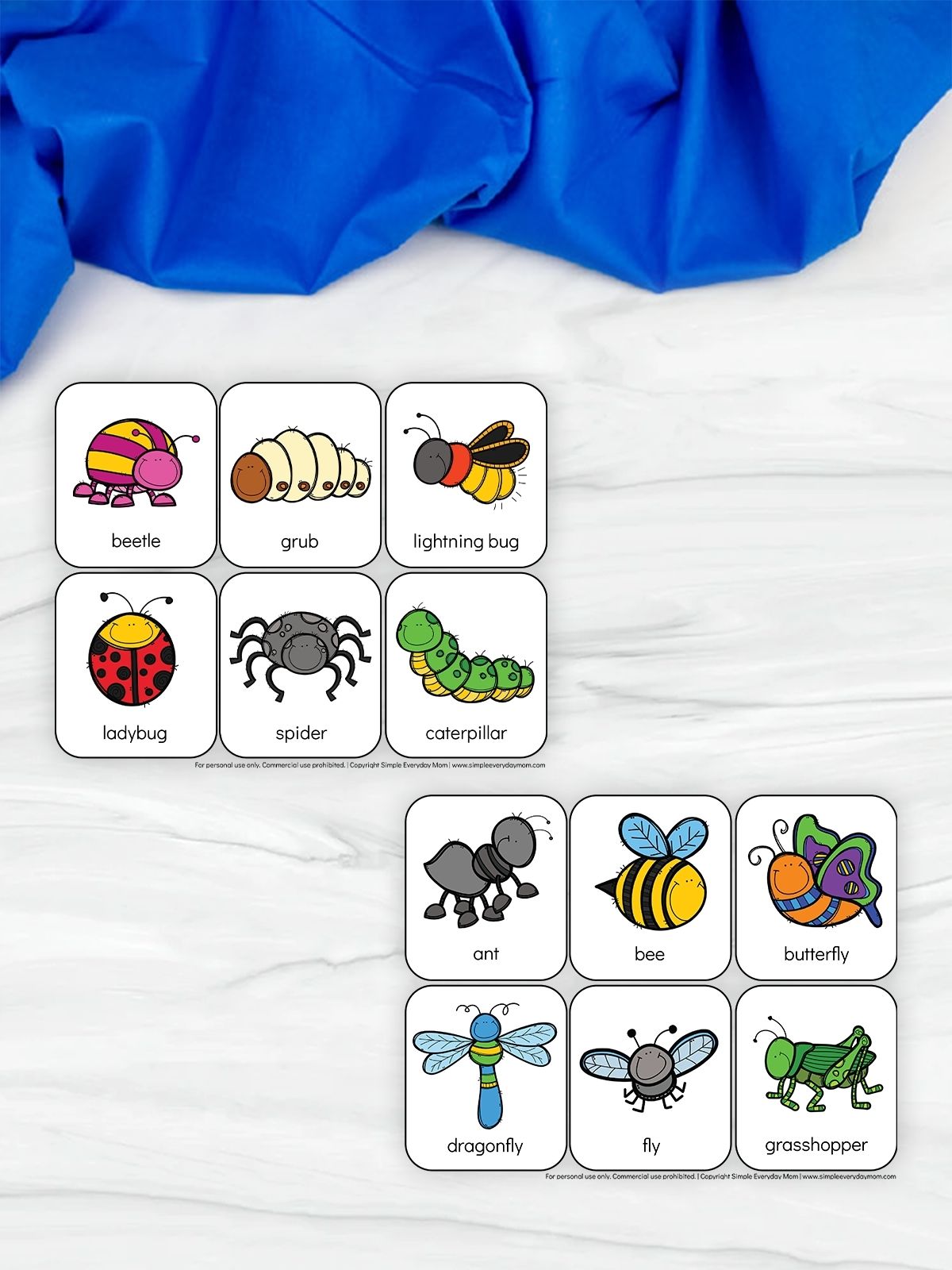 Set of illustrated insect cards labeled with names including beetle, grub, lightning bug, ladybug, spider, caterpillar, ant, bee, butterfly, dragonfly, fly, and grasshopper. Each card shows a simple cartoon insect with its name underneath.