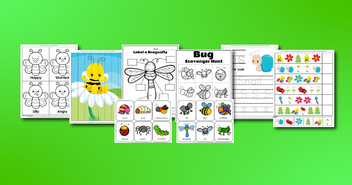 Printable Preschool Bug Activities For Kids