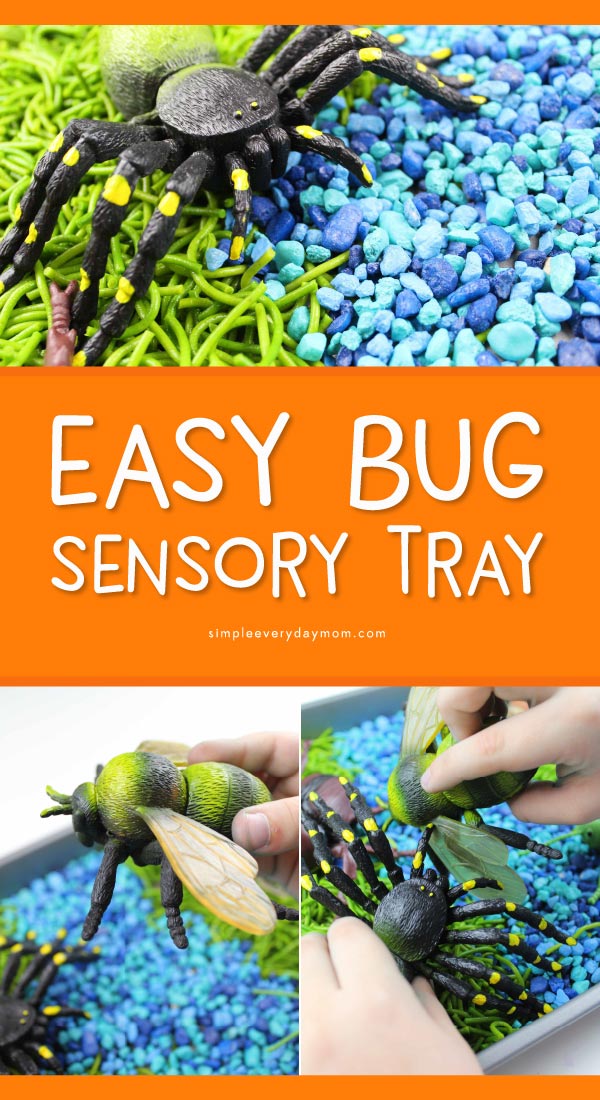 bug sensory bin 