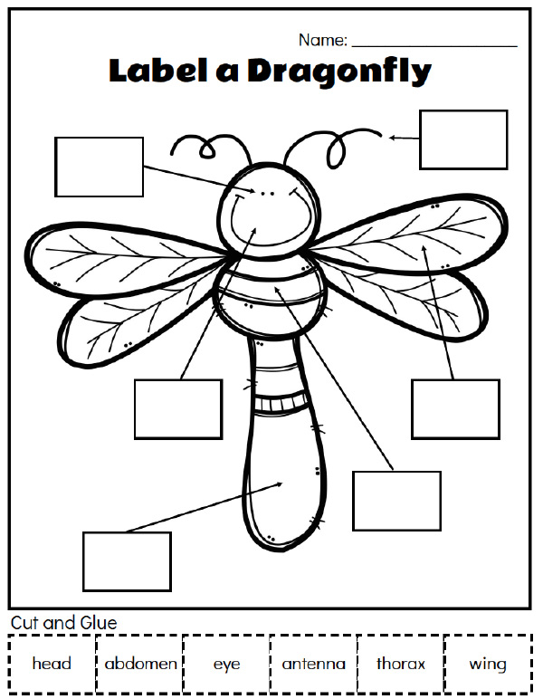 Printable Preschool Bug Activities For Learning & Fun