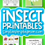 insect worksheet image collage with the words insect printables