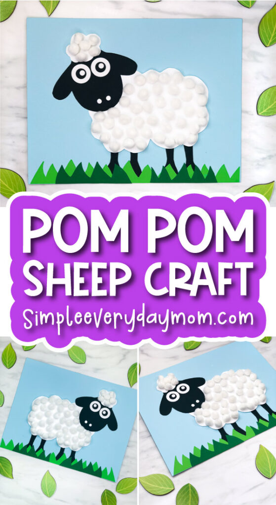 sheep craft image collage with the words pom pom sheep craft