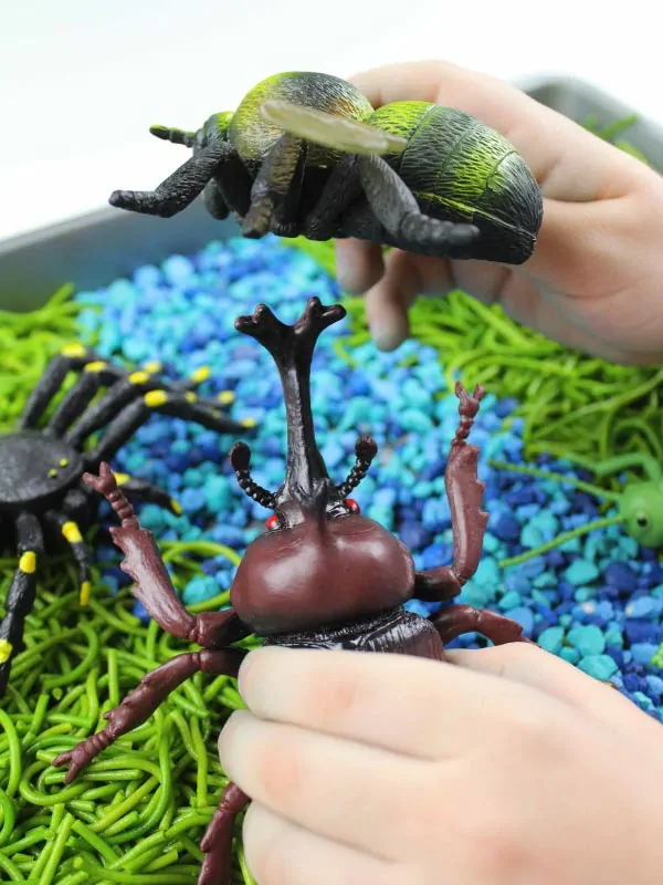 child holding bugs above insect sensory bin 