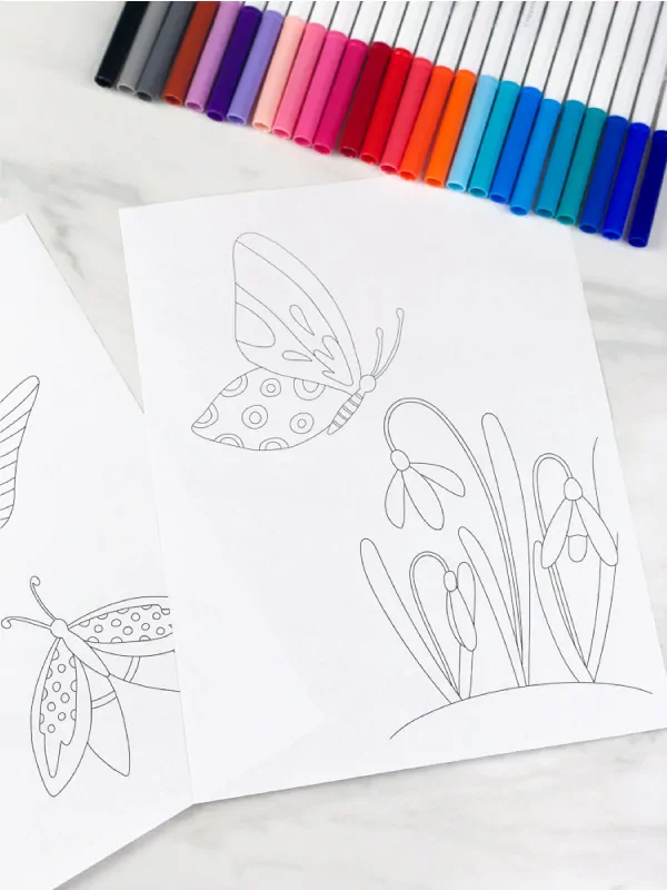 blank butterfly coloring sheets