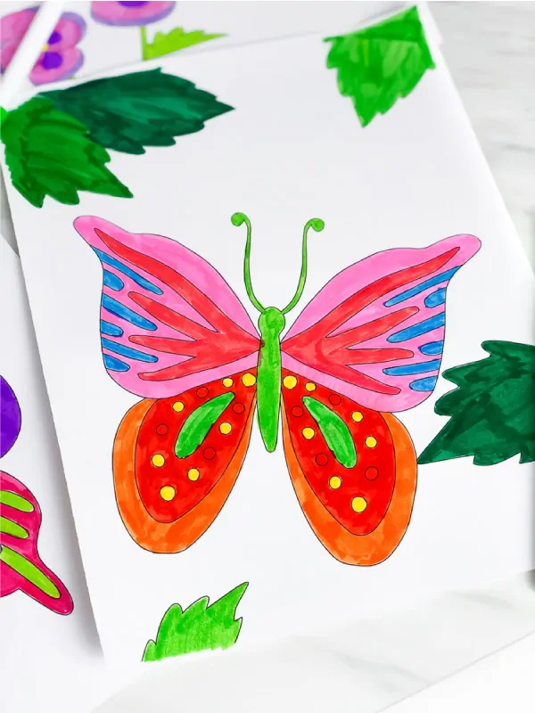 pink, red, blue orange and green butterfly 