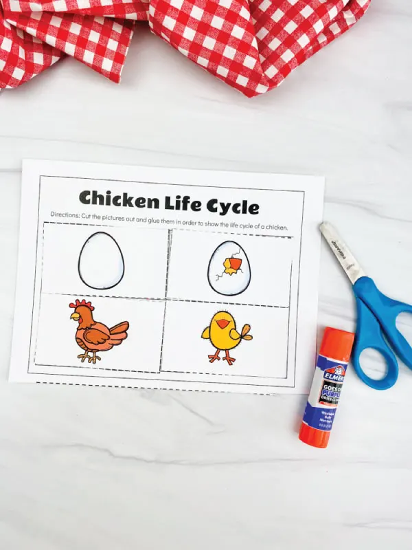 chicken life cycle worksheet