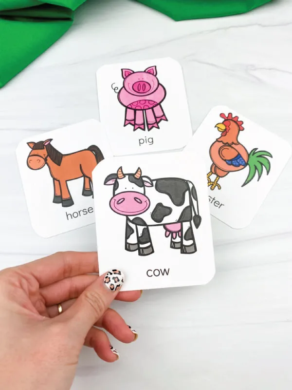 hand holding farm animal flashcard