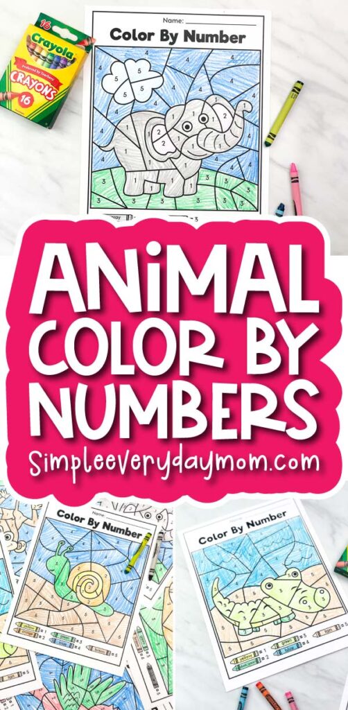 animal color by number printables image collage with the words animal color by numbers